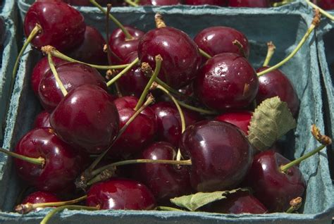 Naming Names Cherries You Cannot Miss The Splendid Table