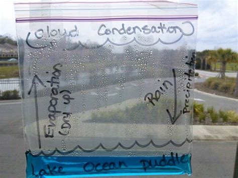 Water Cycle in a bag on my classroom window | Water cycle, 4th grade