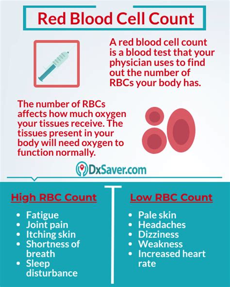 What Causes Low Red Blood Cell Count In Dogs