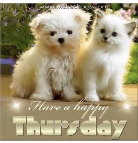 Happy Thursday in 2020 | Happy thursday pictures, Good morning thursday, Happy thursday