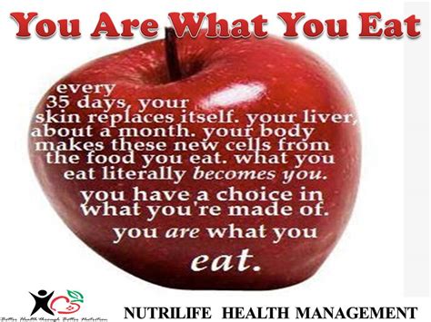 you are what you eat meaning, definition, examples, origin