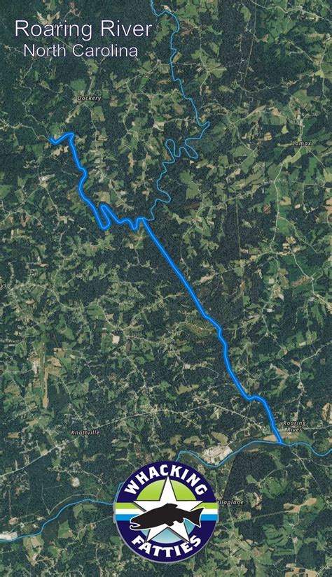Roaring River Fishing Report | Fishing report, Fishing places, River