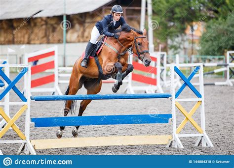 Young Woman Riding Horse On Show Jumping Contest Stock Photo Image Of