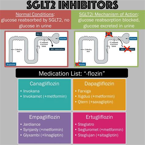Sglt2 Inhibitors Sglt2 Inhibitors Are The Newest Grepmed