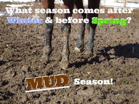 Mud Season Uggggh But Love This Time Of Year For Riding Too