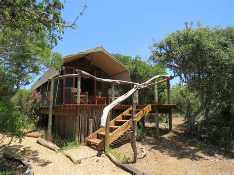 Tranquility In The Bush Amakhala Game Reserve Your Stay