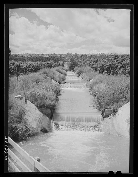 Lateral Irrigation Ditch In Orchard Free Photo Rawpixel