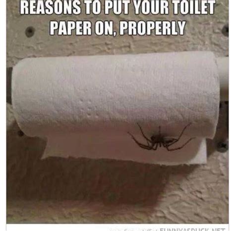 I Am Always Going To Be Checking For Spiders In My Toilet Paper Now