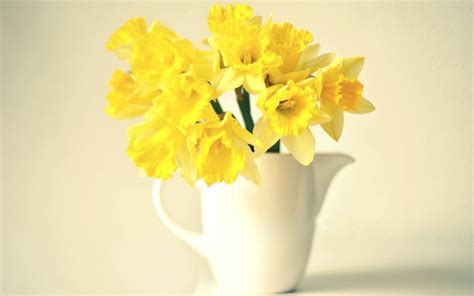 Vase Narcissus Yellow Flowers Wallpaper 1680x1050 23687
