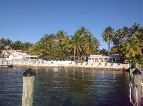 Crystal Clear Waters Picture Of Pines And Palms Resort Islamorada