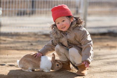 Girl Happy To Touch The Rabbit Stock Photo Image Of Smiling