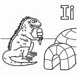 Coloring Igloo Ice Iguana Cream Sheets Yahoo Template Getcolorings Eat Printable sketch template