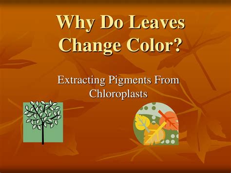 Ppt Why Do Leaves Change Color Powerpoint Presentation Coloring Wallpapers Download Free Images Wallpaper [coloring436.blogspot.com]