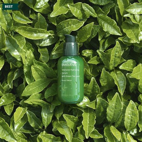 Innisfree Green Tea Serum Review 2020: How to Use, Price, Ingredients