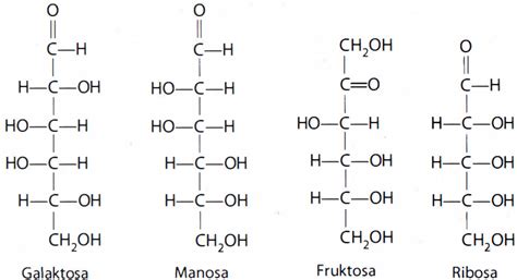 Rumus Struktur Glukosa Fruktosa Dan Galaktosa Berbaga