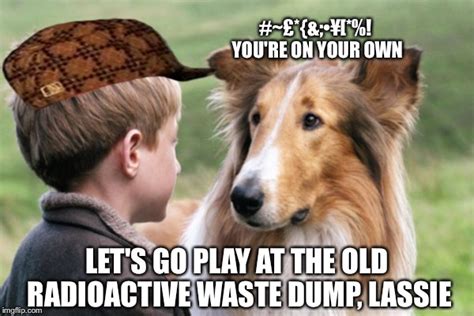 Last Episode Of The Lassie Show Imgflip