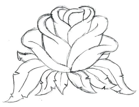 Traceable Drawing At Getdrawings Free Download