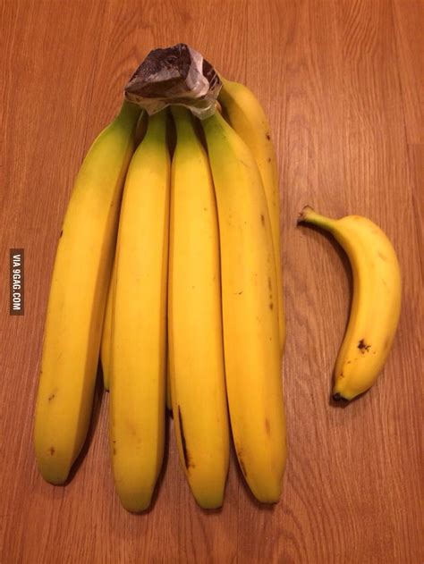 Big Banana With Small Banana For Scale 9gag