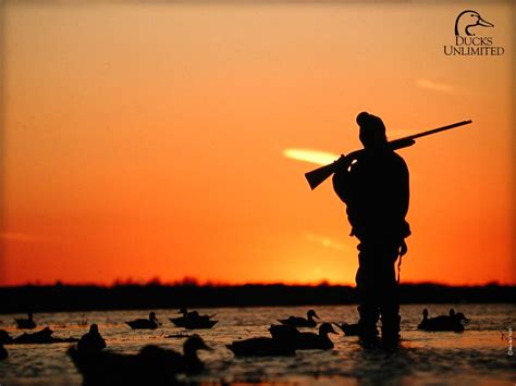 Duck Hunting Wallpapers Wallpaper Cave