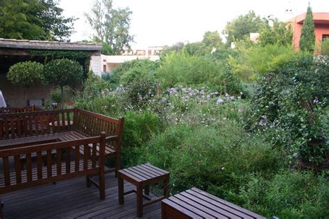 Dans Le Jardin des Sens | followsummer