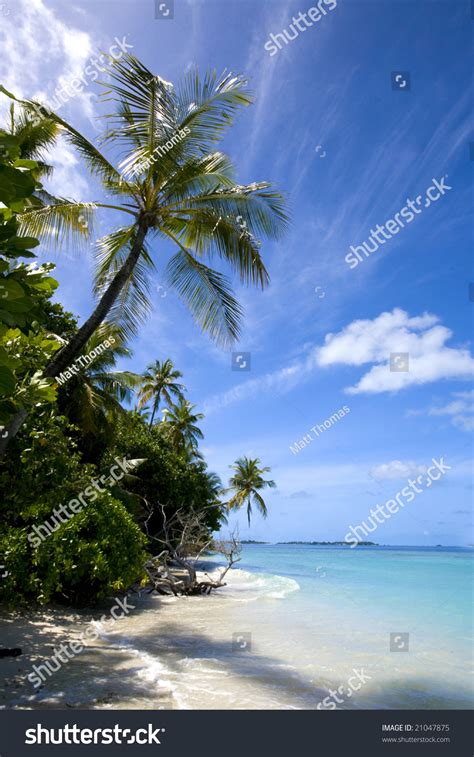 Beautiful Tropical Island Beach Scene Shadows Stock Photo