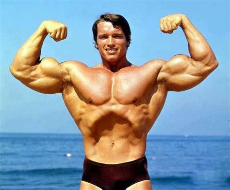 A page for describing creator: Arnold Schwarzenegger - Dieta, Treino, Medidas, Fotos e ...