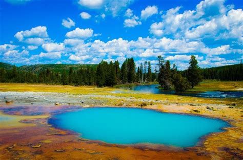 Summer In Yellowstone National Park Photorator