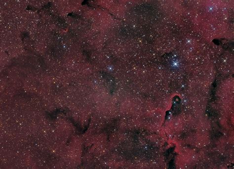 Dark Nebulae In Ic1396 Astrodoc Astrophotography By Ron Brecher