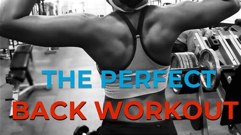 The Perfect Back Workout For Beginners And Advanced Youtube