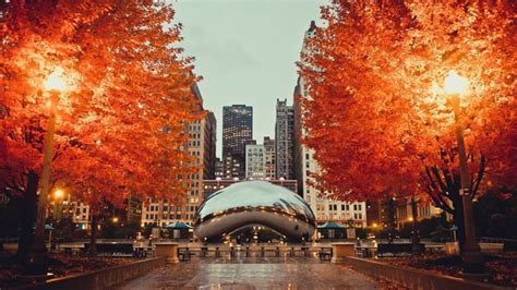 Things To Do In Chicago In The Fall The Daily Tay Chicago Fall