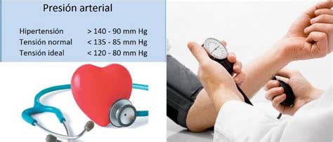 Presión Arterial Normal Valores Normales Medición Rangos Y Consejos