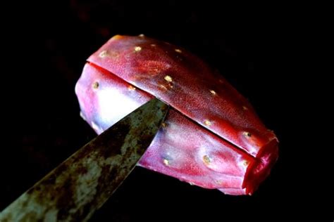 It can be harvested from cactus at the cost of 6. How to Eat Prickly Pears | Cooking On The Weekends
