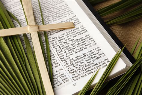 Palm Sunday Kjv Bible And Palms Branches Royalty Free Image 157583335