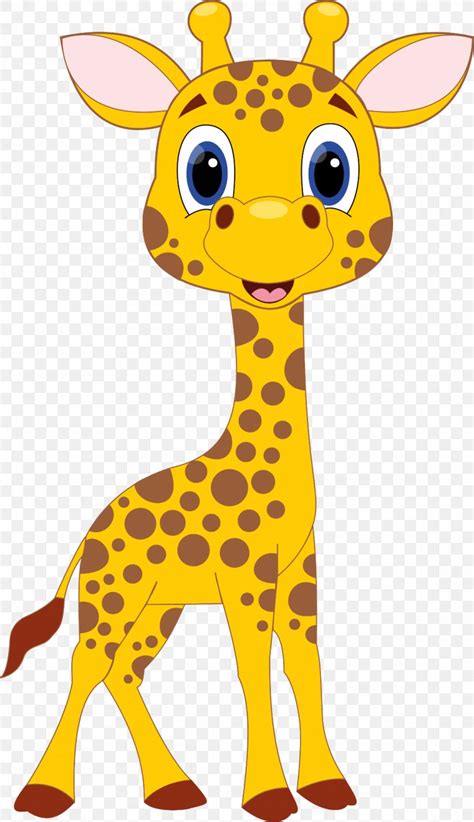 Giraffe Drawing Cartoon Clip Art Png 1106x1920px Giraffe Animal
