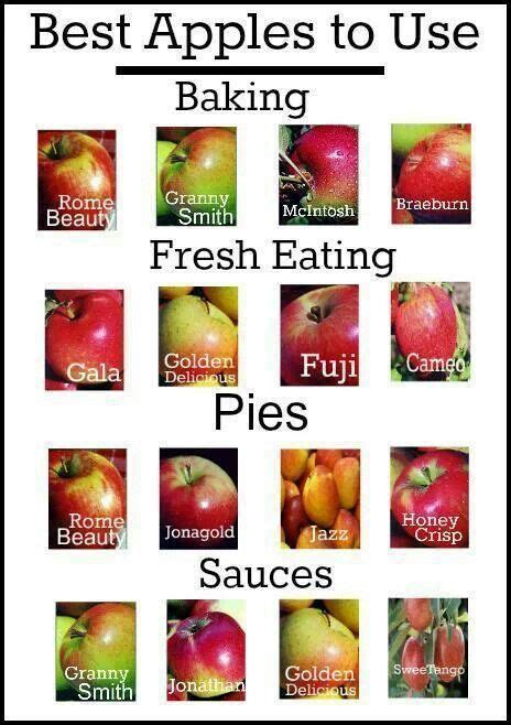 The Definitive Guide To Types Of Apples And Their Uses With Images Cooking And Baking