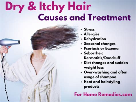 Home Remedies To Get Rid Of Dry Itchy Scalp Hair Mask And Oil Treatment