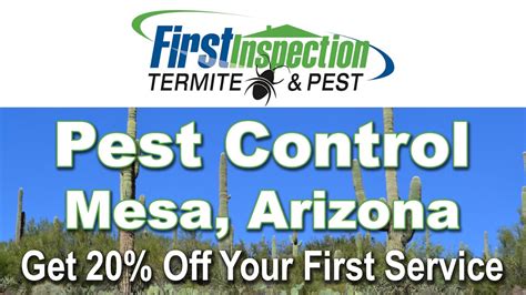 Pest Control Mesa Az 480 778 1480 Termites Youtube
