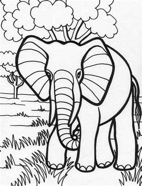 Download Elephant in the Jungle Coloring Page - NetArt