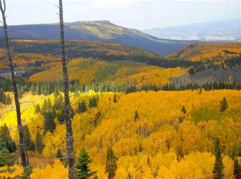 8 Weird And Random Facts About Colorado Interesting Facts Of Co