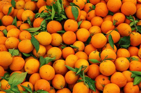 Orange Fruit Pattern Free Stock Photo Public Domain Pictures