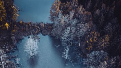 Download Wallpaper 2560x1440 Lake Trees Aerial View Autumn Frost