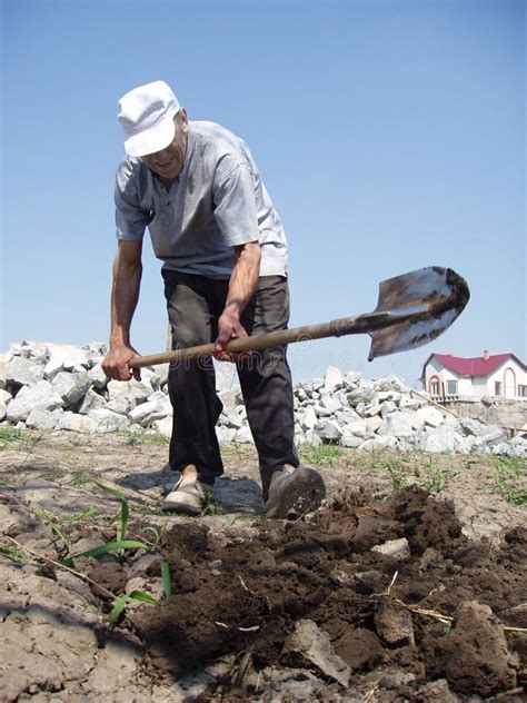 Man Digging Stock Image Image Of House Plant Stone Soil 733123