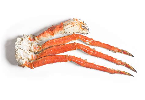 Average crabs are not going out in the water to eat. Blue King Crab - Russian Crab