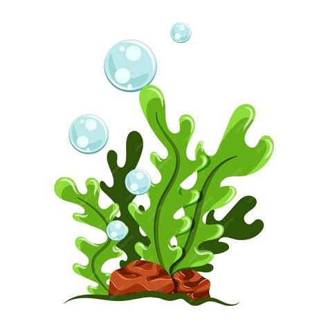 Premium Vector Cartoon Seaweed Illustration Isolated On White Background