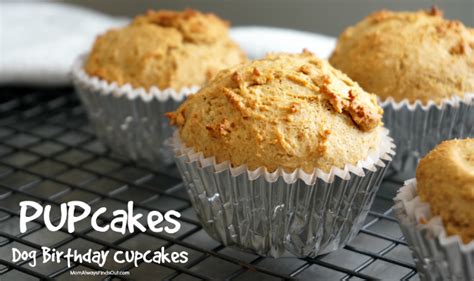 What is the most common food allergy in dogs? Pupcakes Birthday Dog Treats Recipe - Mom Always Finds Out