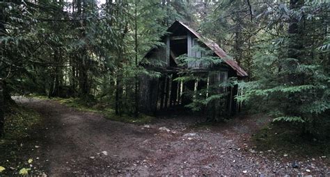 Abandoned Shack Willamette National Forest Oregon Oc 4320x2332