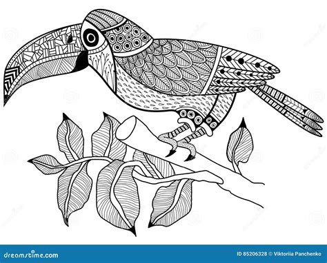 Oiseau De Toucan Sur Un Vecteur De Livre De Coloriage De Branche Pour