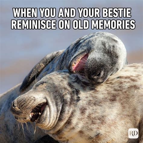 25 Funny Friend Memes To Send To Your Bestie Readers Digest