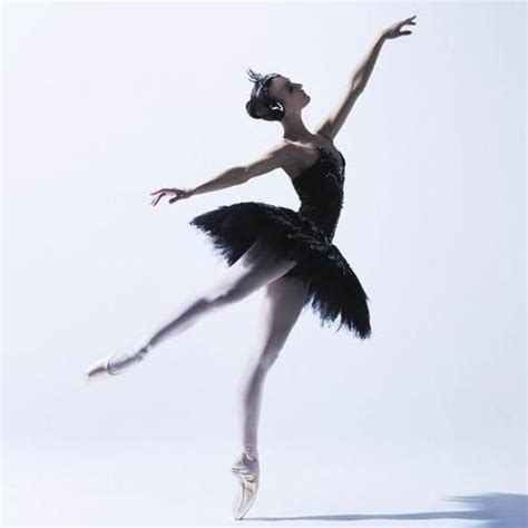 Black Swan Australian Ballet Dance Photography Black Swan