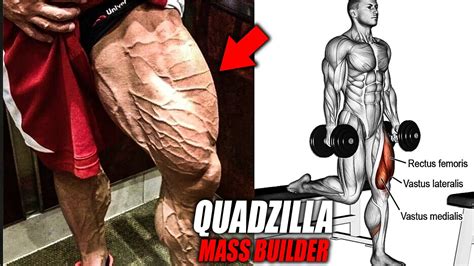 I might bring this out as the march turbulence training workout of the month. MONSTER QUADS WORKOUT 💪 5 BEST EXERCISES - YouTube